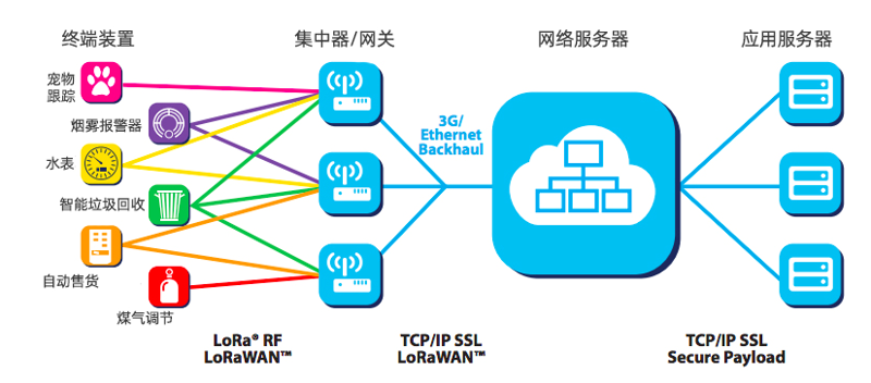 网络部署，企业数字化转型的关键助手